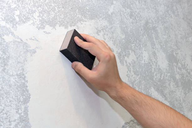 Best Air Quality Testing for Mold Spores  in New Windsor, MD