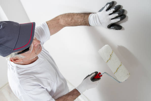 Best Mold-Related Health Consultation  in New Windsor, MD