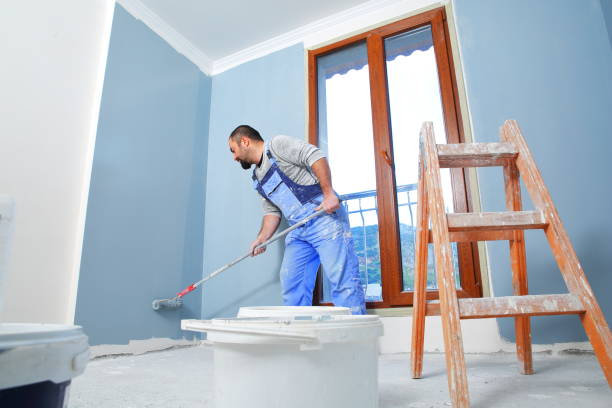 Best Mold Documentation for Insurance Claims  in New Windsor, MD