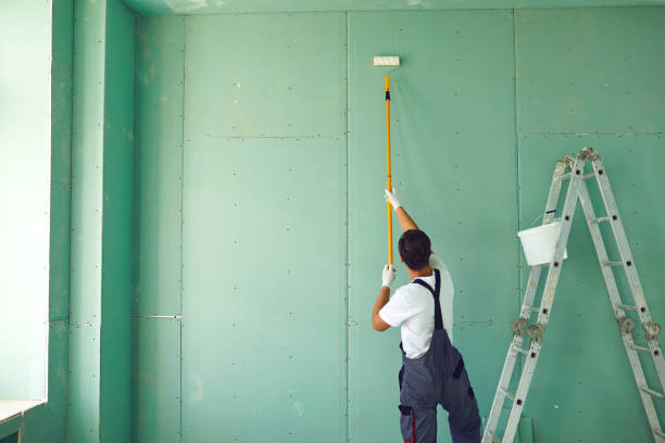 Best Mold Removal for HVAC Installations  in New Windsor, MD