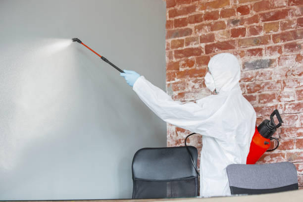 Best Real Estate Mold Inspection  in New Windsor, MD