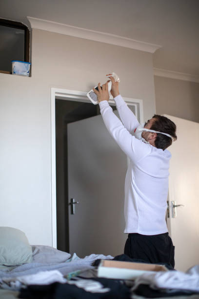 New Windsor, MD Mold Removal Company