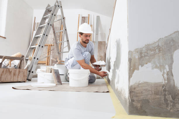 Best Post-Construction Mold Inspection  in New Windsor, MD