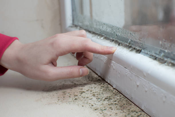 Best Post-Remediation Verification Testing  in New Windsor, MD