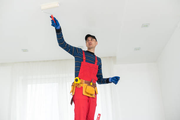 Best Comprehensive Air Testing for Mold Contaminants  in New Windsor, MD