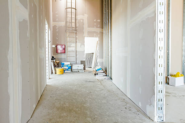 Best Mold Odor Removal Services  in New Windsor, MD