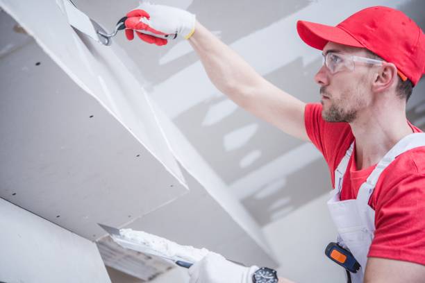 Environmental Consulting for Mold Prevention in New Windsor, MD